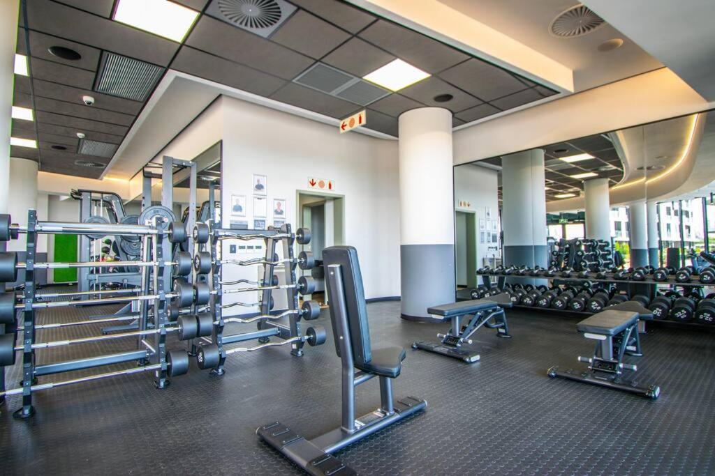 Beautiful Gem At Ellipse * Midrand